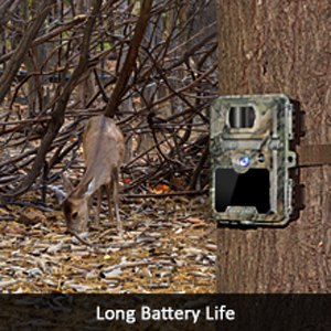 motion actived camera