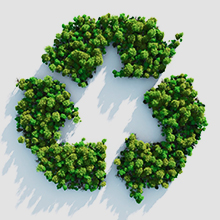 Canon 245 246xl ink cartridges combo pack