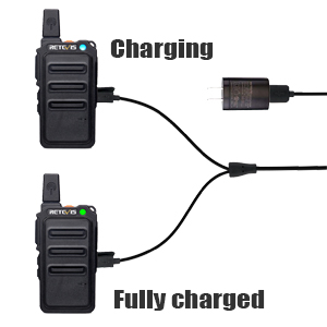 RT19 have dual usb when charge