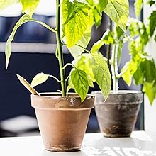 Schule nachhaltig malen schreiben Buntstifte Bleistifte Schule Kinder