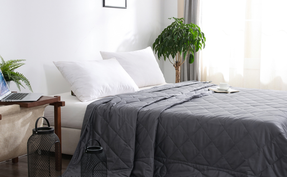 JOLLYVOGUE California King Weighted blanket (30lbs