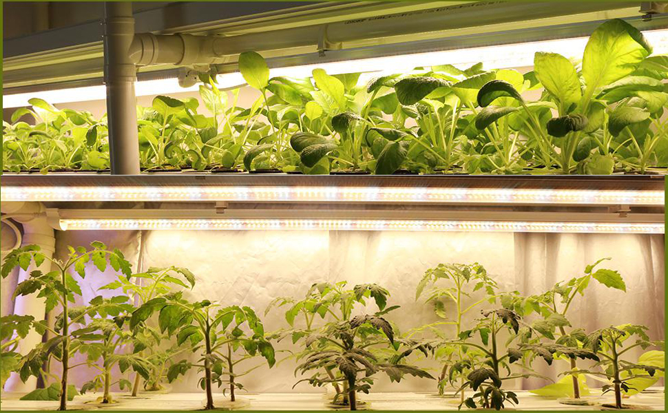 Esbaybulbs 植物育成ライト ８本セット*3個 Amazon.co.jp: Esbaybulbs 植物育成ライト 8本セット 暖色系