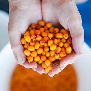 Small manufacture image 12