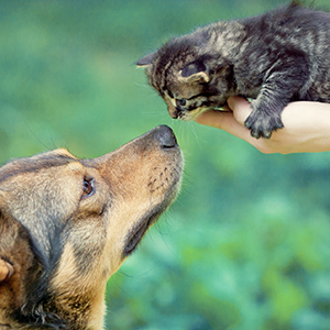 Small manufacture image 5