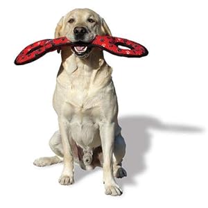 tuffy dog