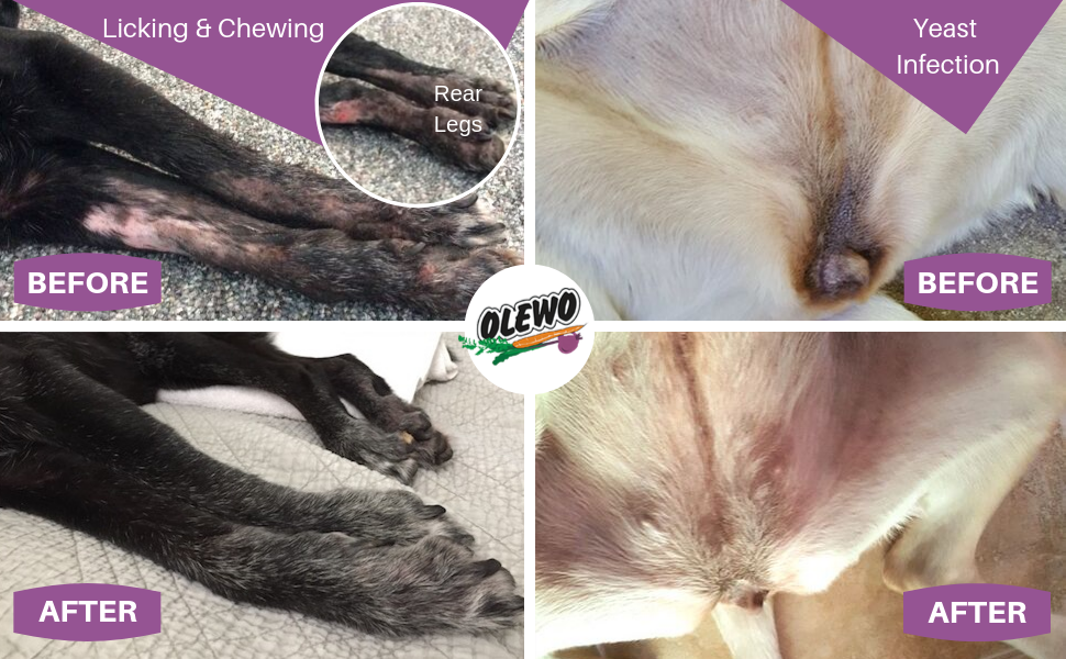 Olewo Dehydrated Red Beets Itch and Allergy Relief Dog