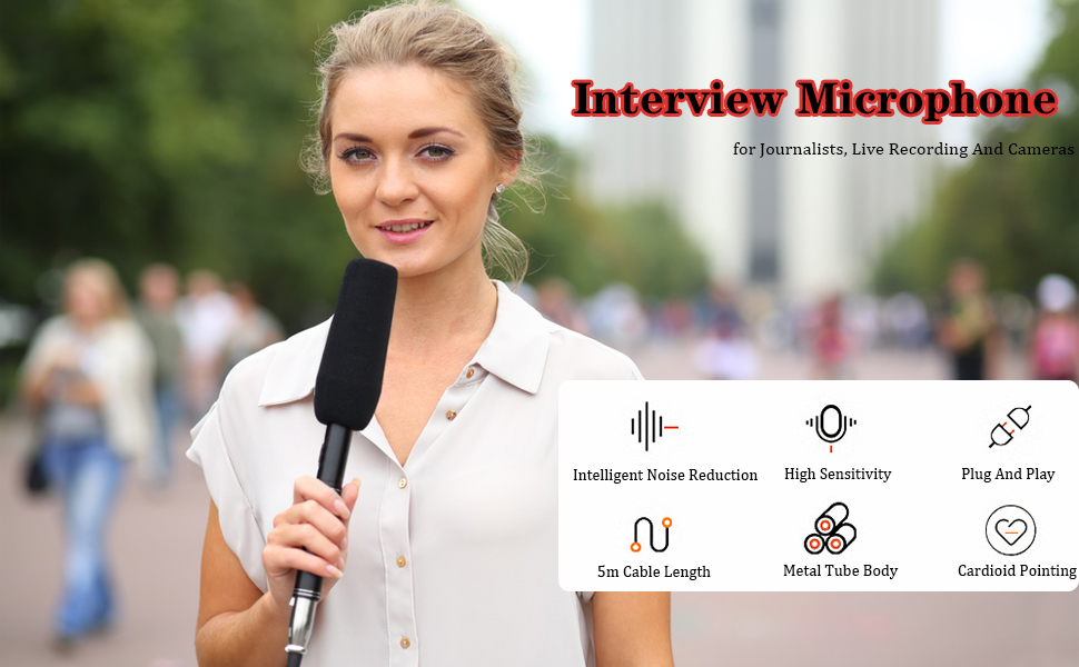 Interview Microphone