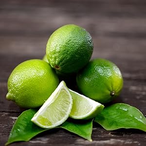 key lime cheesecake dip