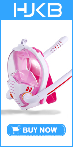 snorkel mask