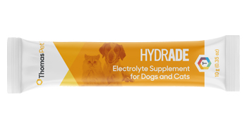Hunting dog needs hydration-shipping a dog-dog hydration-dehydration in dogs-dog electrolyte drink