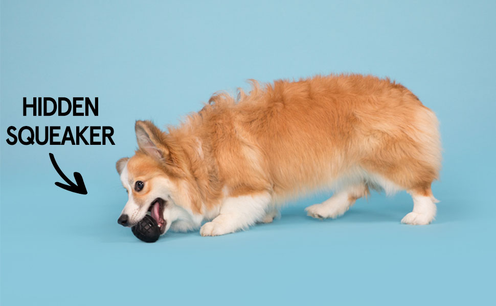 Pet Supplies Barkbox Super Chewer Tough Dog Chew Toys for Aggressive