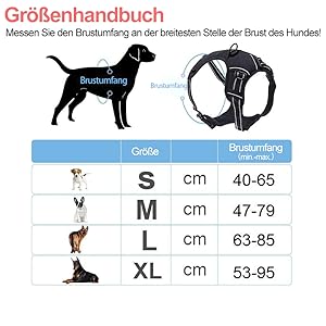 Vier Größe für unterschiedliche Hunde