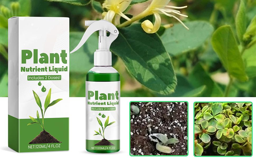 Spray de hierba verde líquido, pintura en aerosol verde de hierba