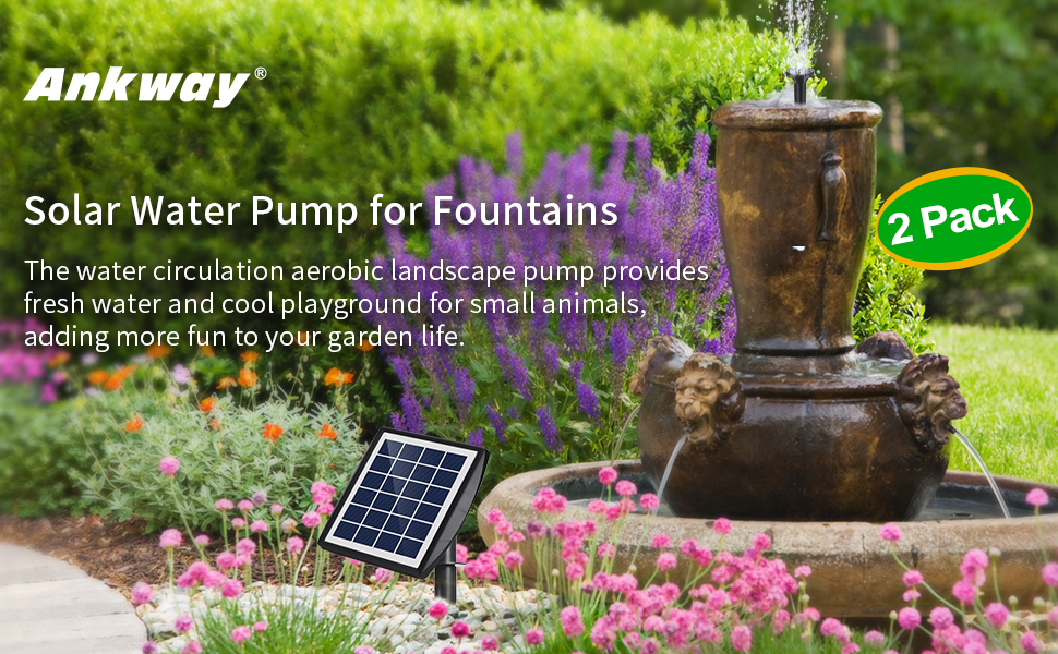 solar water pump
