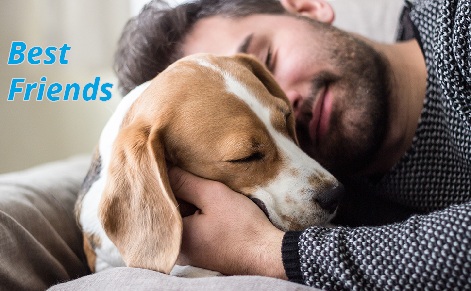 life2o pet urinalysis test strips