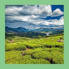 Small manufacture image 15