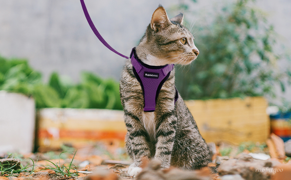 rabbitgoo Cat Harness and Leash Set for Walking Escape Proof with Leash