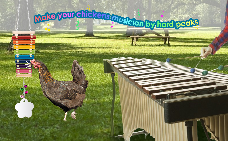 SlowTon Chicken Xylophone Toy with Mirror Bell for Hens