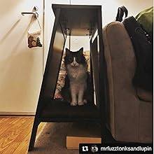 A-Frame Cat Bed from The Refined Feline