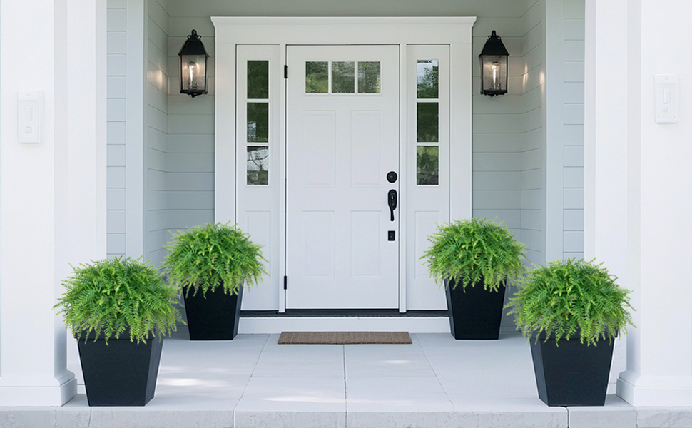 Artificial Ferns Plants