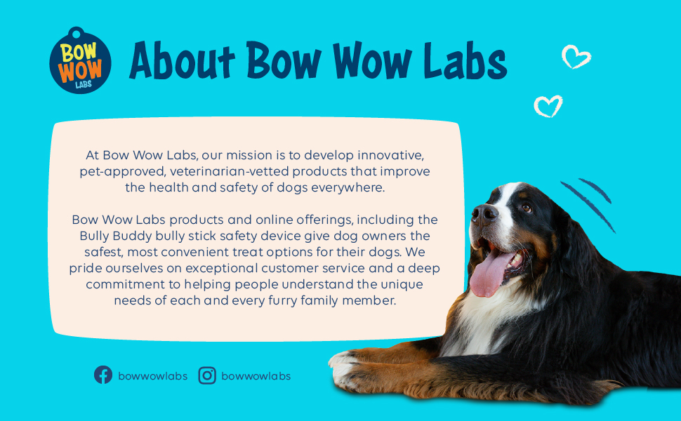 Bow Wow Labs 6" Bully Sticks 10 Pack (Thick) Pet Supplies