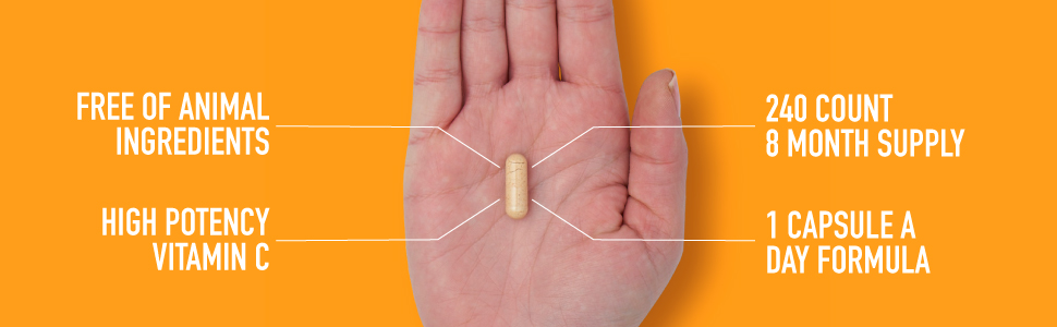 Vitamin C High potency capsule vegan plant based vitamin supplement