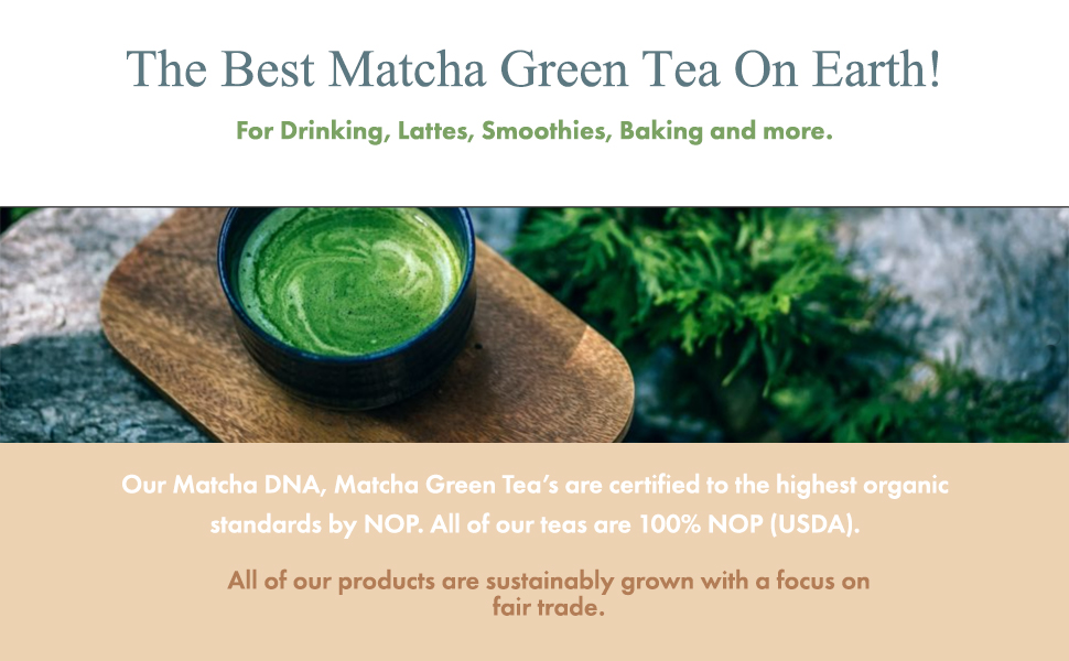 Matcha Teabags MatchaDNA Certified Organic Matcha Green Tea