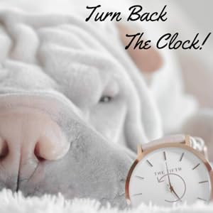 turn back the clock