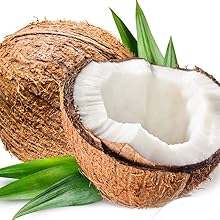 Coconut