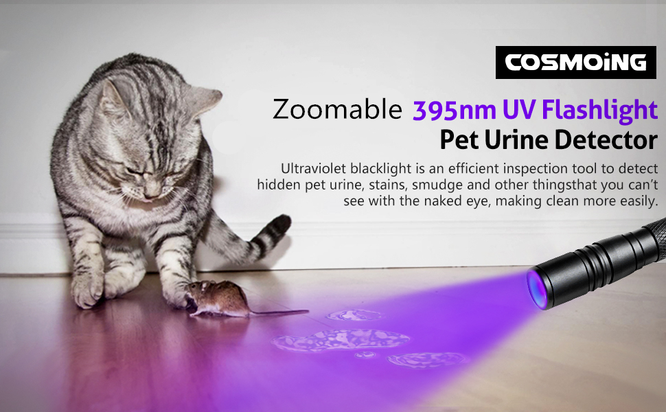 UV Flashlight, LED 395nm Ultraviolet Flashlight, Zoomable