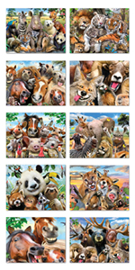 funny cute adorable panda fox horses polar bears safari ocean dogs cats pets selfie photo lions zoo