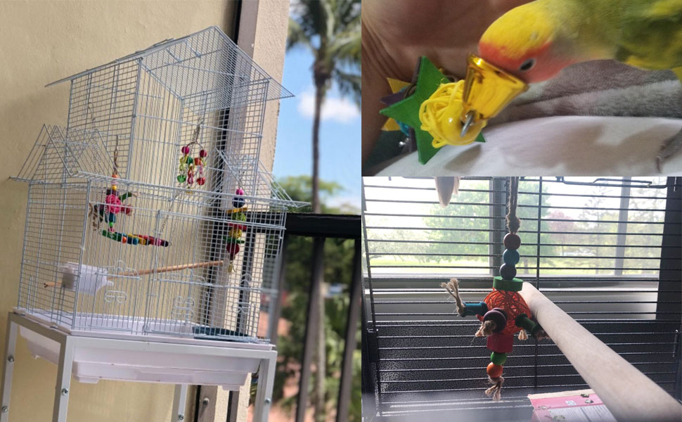 Vogelspielzeug, Nymphensittichspielzeug, Spielzeugvögel, Spielzeugpapagei.