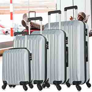 silver white luggage set