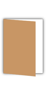 travelers notebook inserts blank pages