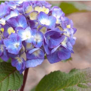 Small manufacture image 6