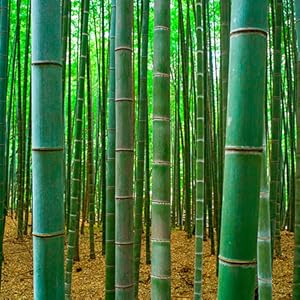 Small manufacture image 7