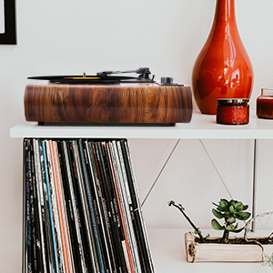 3 speed turntable
