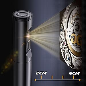 Endoskopska kamera z dvojno kamero ILIHOME