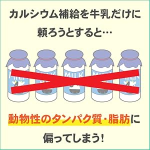 Amazon | アストリション 大豆 ジュニアプロテイン 人工甘味料無