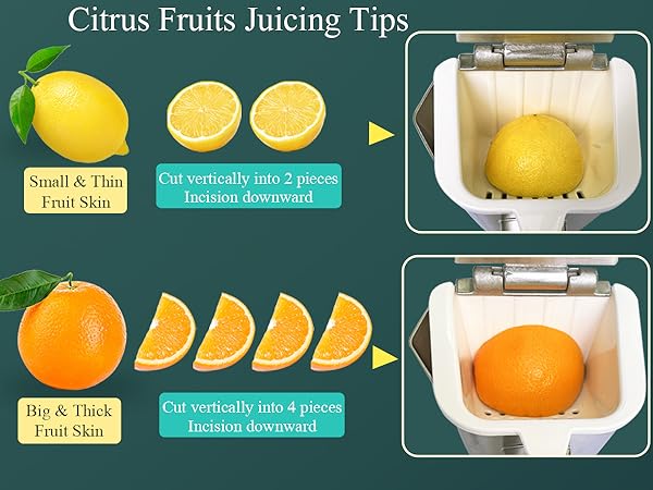 citrus press juicer