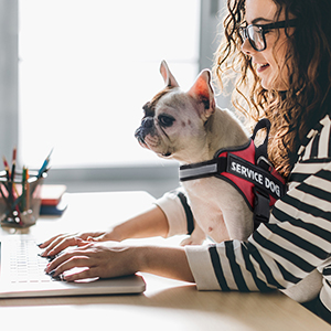 Mumupet Service Dog Harness No Pull Easy And Off Pet 25 Off Vest On Ha