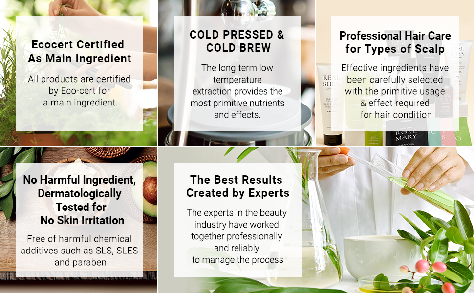 Rated green organic certified ingredient natural shampoo organic KFDA 