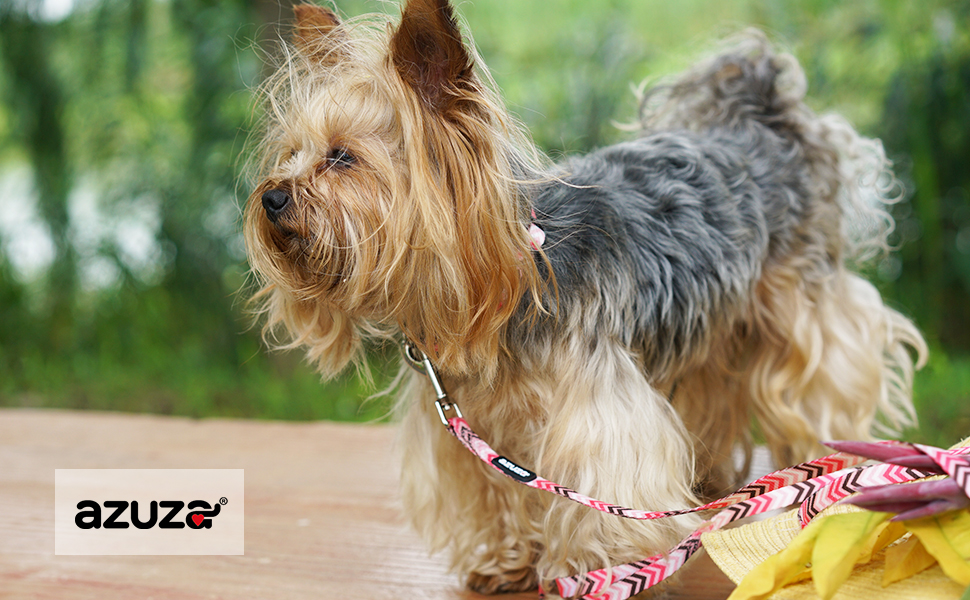 azuza Dog Collar and Leash Set, Adjustable Nylon Collar