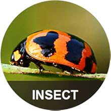 Small manufacture image 13