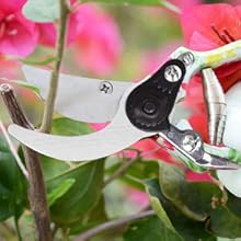Pruning Shears