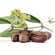 Aftersun Körperbutter Naturkosmetik Biologisch Ohne Zusätze Ohne Chemie Kinder Empfindliche Haut