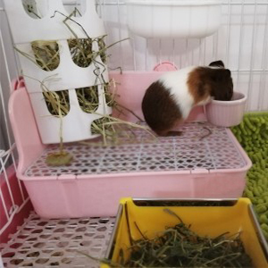 Small manufacture image 8