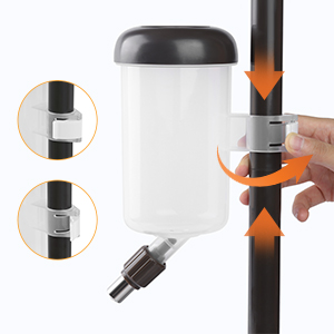 auto feeder water bottle