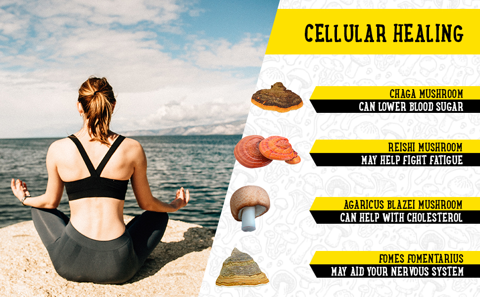 mud ection  memory  organifi rhino fadogia  agrestis mind  male enhancing nootropics support  cialis