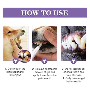 Teeth Cleaning Revolution